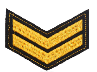 Шеврон по годам службы (годовка) 2 года службы (выслуги лет), 7,5х5,5 см