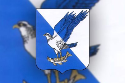 Флаг Волжска 90х135 см