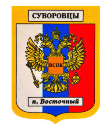 Шеврон фигурный печатный размер от 5х5 см до 25х25 см